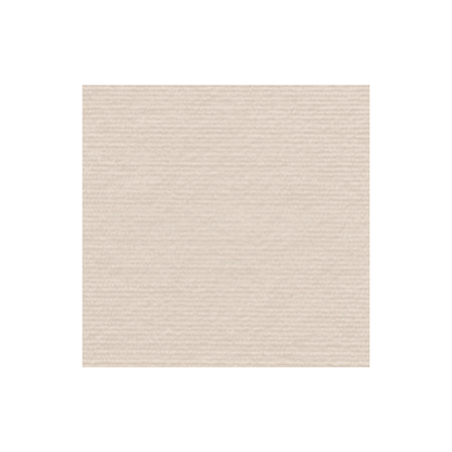 Tapis Adhésif Protecteur pour Griffes de Chat