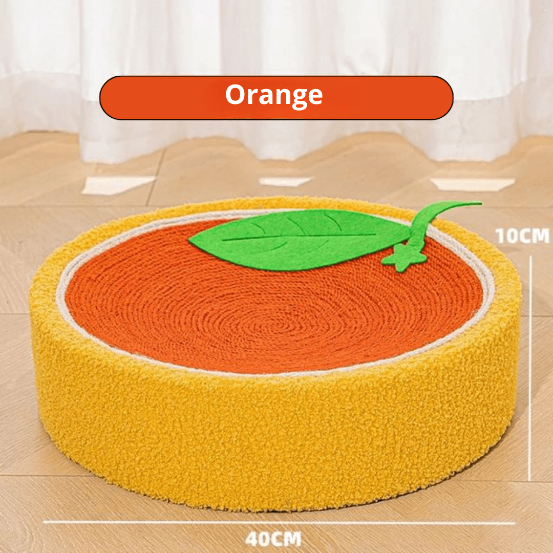 Griffoir Lit pour Chats