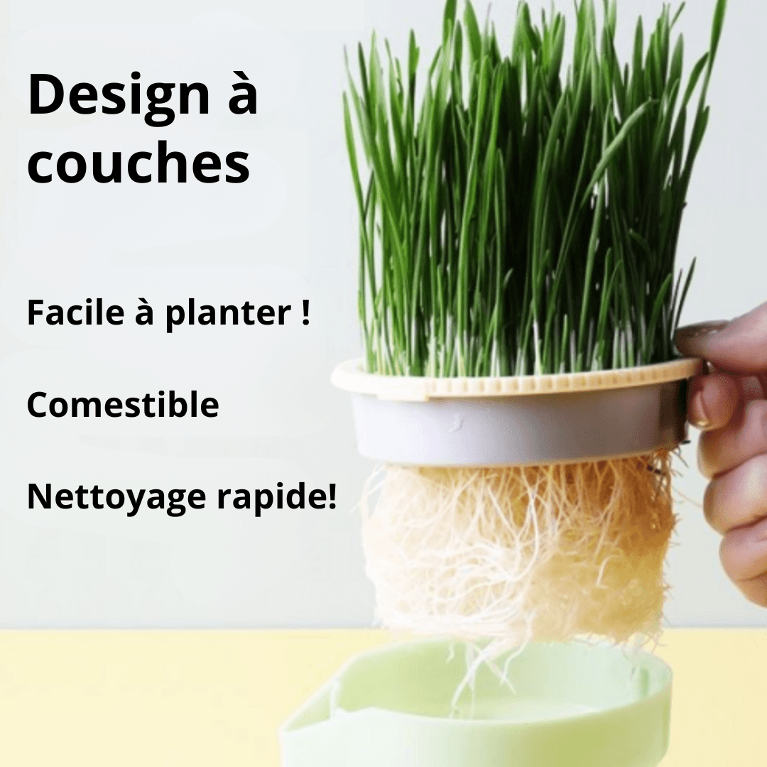 Pot de plantes pour chats